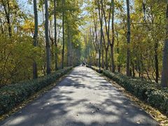 -森林公园(尖草坪区)