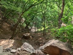 -苍岩山风景名胜区