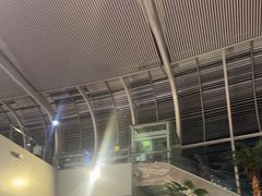 -合肥新桥国际机场-航站楼