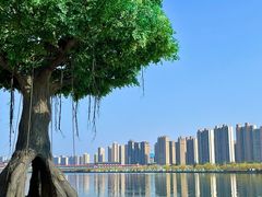 -咸阳湖景区