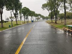 -漕湖湿地公园