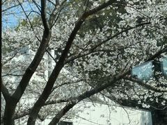 -浙江宾馆·花园餐厅·自助餐厅·茶吧