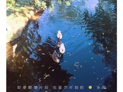 -定园