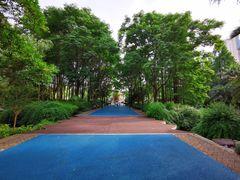 -苏州河梦清园环保主题公园