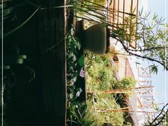 -山壹竹庭院餐厅