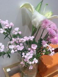 -YESIDO椰岛造型