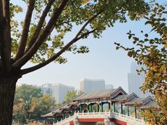 -西海子公园