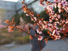 -山东师范大学(千佛山校区)