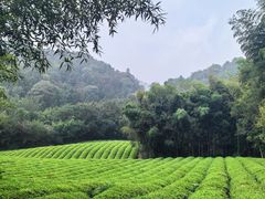 -敬亭山风景名胜区