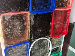 -南蚝小贝海鲜特色餐厅(南澳岛店)