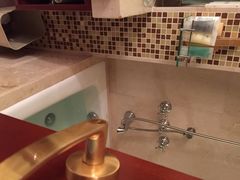 巴黎半岛酒店-汕尾巴黎半岛酒店