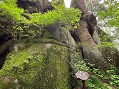 -汤旺河林海奇石景区