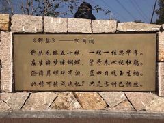 -昆山城市生态森林公园