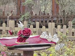 -野象谷景区