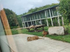 -西安秦岭野生动物园
