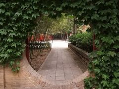 -兴教寺