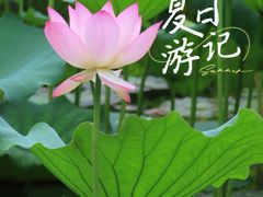 -烈士陵园(地铁站)