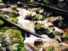 -青峰峡国家森林公园