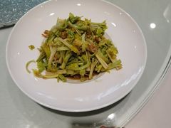 -海派美食·家宴海鲜青岛菜·石锅鲽鱼头(东方城店)