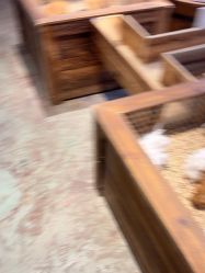 -酷嗒动物文化乐园(cutezoo西溪乐天城店)