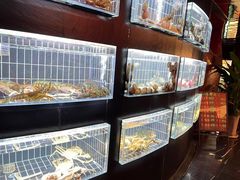 -鱼翅楼·津派砂锅鱼翅(水上公园店)
