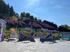 -云南野生动物园