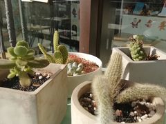 -蜜蜂小象·榴莲千层蛋糕(时代汇11栋店)