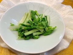 -西郊5号·Maggie 5
