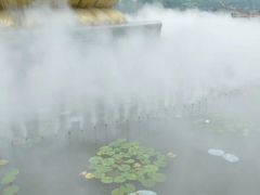 -白洋淀景区