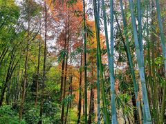 -广州市白云山风景名胜区