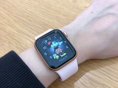 -Apple 零售店(Canton Road)