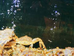 -滋粥楼·顺德菜海鲜茶点(方舟店)