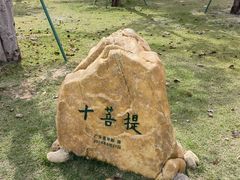 -华侨公园
