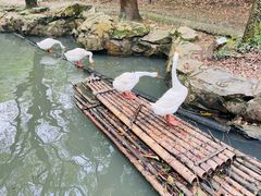 -兰亭风景区