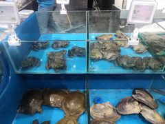 -盒马鲜生(领丰汇店)