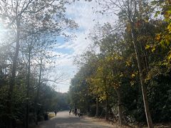 -上海海湾国家森林公园