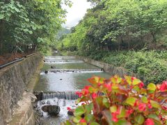 -广州白江湖森林公园