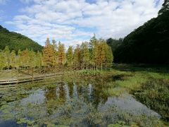 -广州市石门国家森林公园