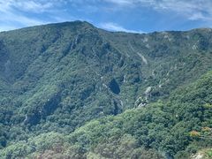 -牛背梁国家森林公园