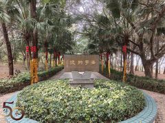 -宋井风景区