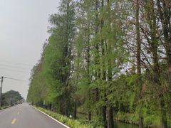 -万顷园艺世界