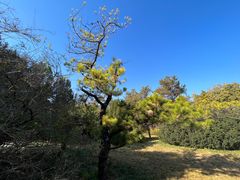 -国家植物园南园