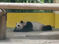 -杭州野生动物世界
