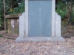 -八大山人梅湖景区
