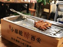 -福苗小骆驼烧烤(莲湖路店)
