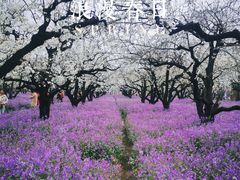 -江苏三台山国家森林公园
