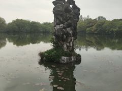 -西湖外事游船(湖滨二公园外事游船码头)