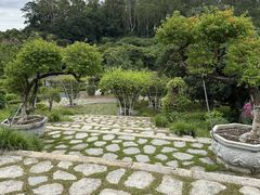 -东莞植物园
