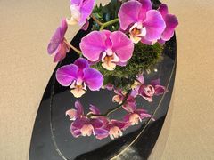 -许家菜.艺创菜(仁和新城店)