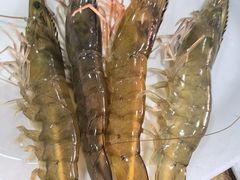 -濠轩阁特色生蚝火锅(水湾路店)